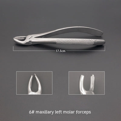 Dental Equipment For Tooth Extraction clinic-ready tools